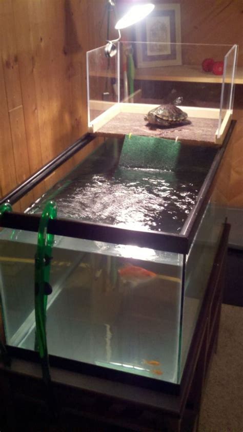 Diy Turtle Basking Area Made A New DIY Basking Platform Ramp For My