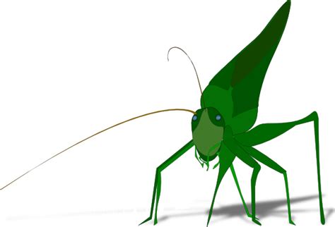 Free Grasshopper Cartoon Download Free Grasshopper Cartoon Png Images Free ClipArts On Clipart