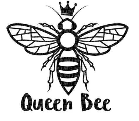 Queen Bee Drawing Best Drawing Skill