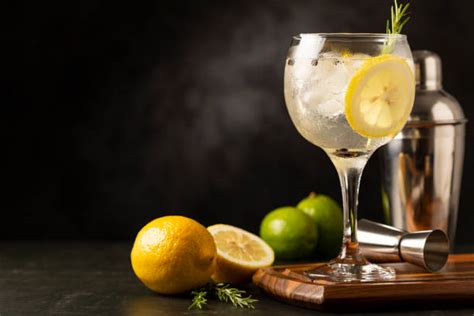 23 Cocktails To Try If You Like Drinking Gin 53 Off