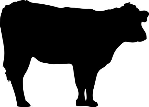 Jersey Cattle Angus Cattle Black Hereford Hereford Cattle Others Png