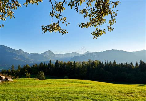 Autumn Mountain Valley At Sunny Day With Blue Sky Forest And Green