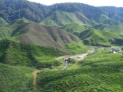 Depends on your peace, but usually a couple of days are enough to visit cameron highlands. Cameron Highlands - Malaysia ~ travel-my-blog