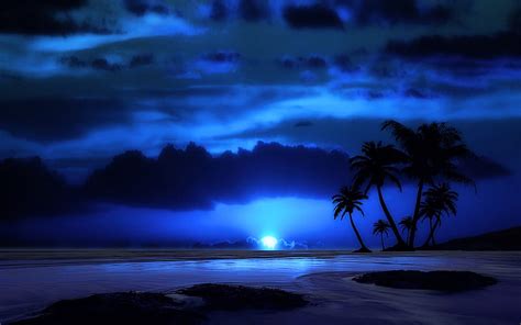 Tropical Night Sky Iphone Wallpapers