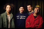 Rage Against The Machine's reunion and 2020 tour is officially confirmed