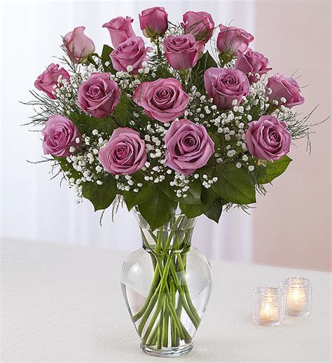 2 Dozen Purple Rose Vase Norton Florist And Mansfield Florist