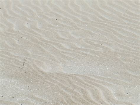 Sand Texture Free Stock Photo Public Domain Pictures
