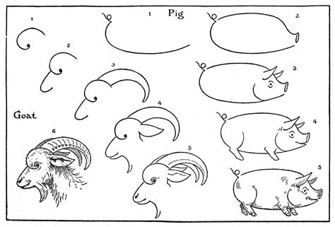 Today we'll learn how to draw 4 easy kawaii animals: How to Draw Animals - Pigs - Goats - The Graphics Fairy