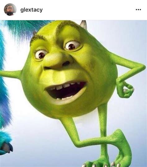 Pin By Princess Morbucks 👸🏻 On Reaction Pics Memes Shrek Funny