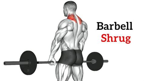 Barbell Shrug How To Do Muscle Worked And Benefits