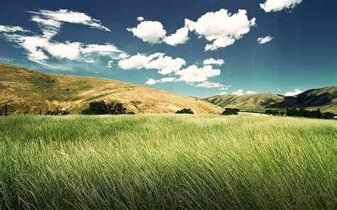 1080p Free Download Green Field Mountain Nature Grass Field Hd