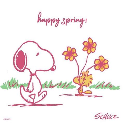 Happy First Day Of Spring 🌼 Snoopy Wallpaper Snoopy Pictures Happy