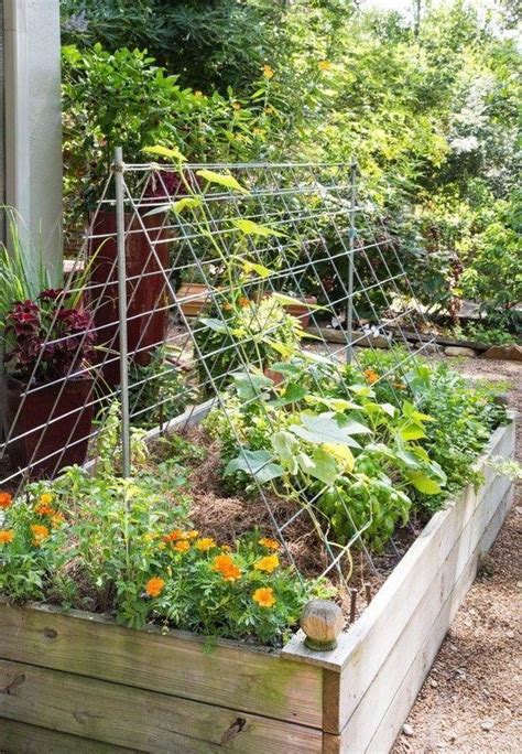 Small Garden Ideas Cucumber Trellis In Raised Bed Modernbed