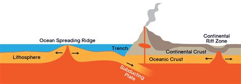 What Happens When Oceanic Crust Collides With Continental Crust