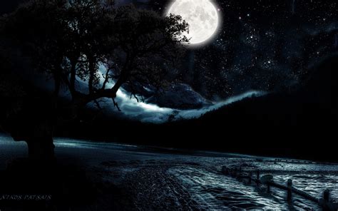 Moon Light And Stars Night Background With Trees Nature Art Images