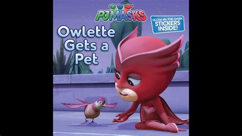 Pj Masks Owlette Gets A Pet Youtube