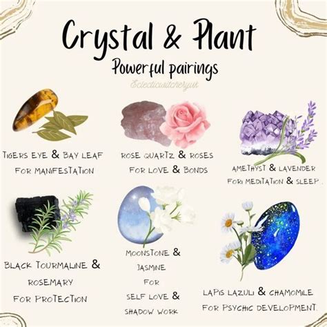 My Crystal Magic On Instagram Witch Plant And Crystal Duo Are You