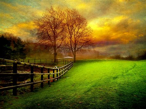 Download Sunset Cloud Sky Fall Tree Country Field Man Made Fence Hd