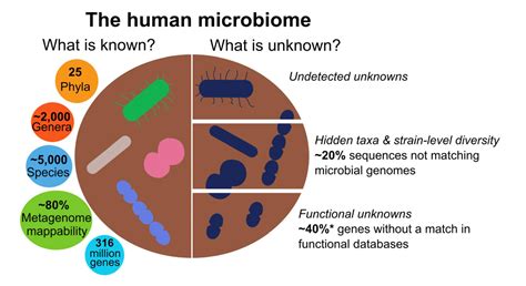 Microbiota And Disease