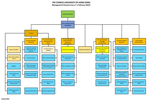 Governance Management Structure University Organization Chart