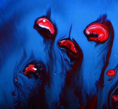 Red Blue Abstract Art Organic Flowers By Kredart Painting