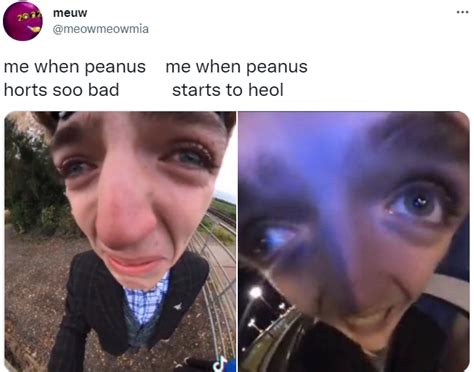 when peanus horts vs peanus heol my peanus horts so bad know your meme