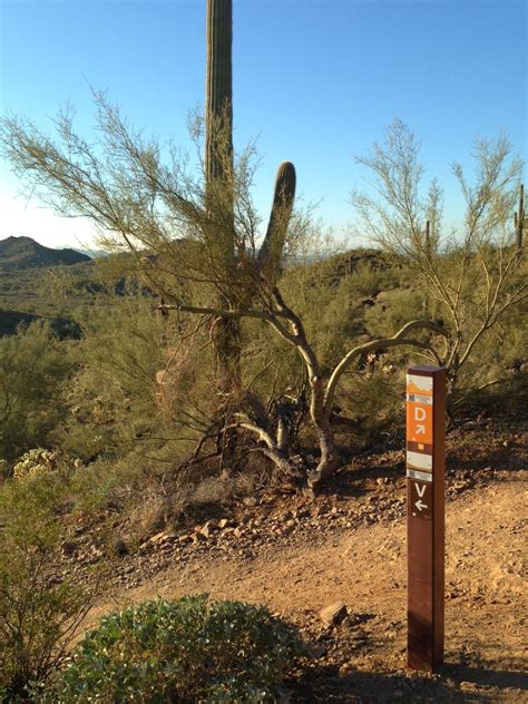 50 Hikes In My 50th Year Hike 15 Sonoran Preserve Desert Vista