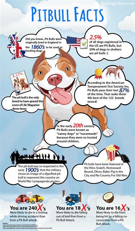 Facts About Pitbulls