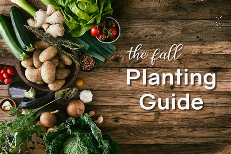 We did not find results for: The Fall Planting Guide for Houston | MitoGrow™ | Texas ...