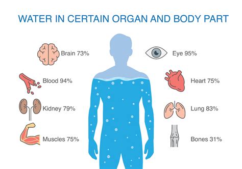 Benefits Of Drinking Water How Much Water To Drink In A Day