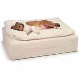 Photos of Orthopedic Beds For Dogs Reviews