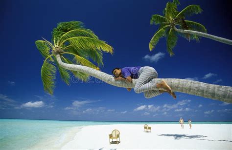 Asia Indian Ocean Maldives Seascape Beach Editorial Photo Image Of