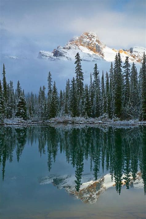 Cathedral Mountain Reflected In Lake Ohara Scenic Beautiful Nature