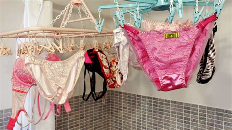 Wash And Dry Hanging Underwear Clip Rack Lingerie Underwear