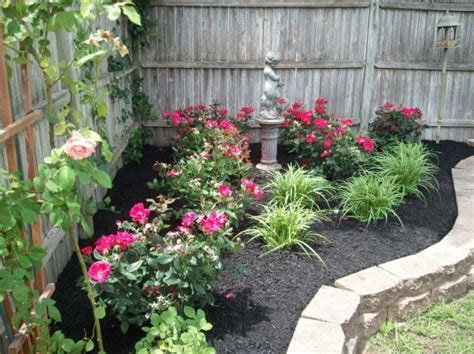 25 Rose Bush Landscape Front Yard Pictures And Ideas On Pro Landscape