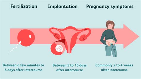 How Many Days Does It Take For Implantation To Occur Pregnancy Test