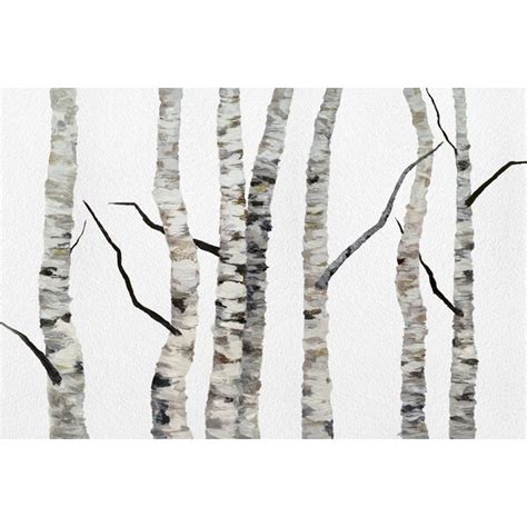 Loon Peak Birch Trees Ii By Sheila Finch Wrapped Canvas Painting