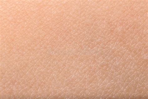 textura de la piel humana primer imagen de archivo imagen de primer contexto 150085357