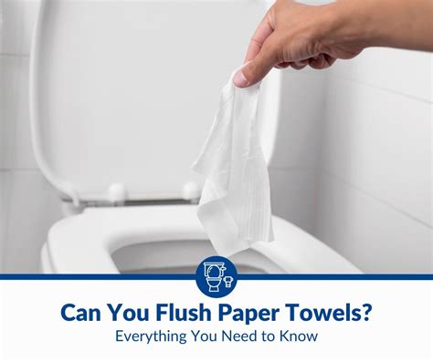 Can You Flush Paper Towels Down The Toilet 2024