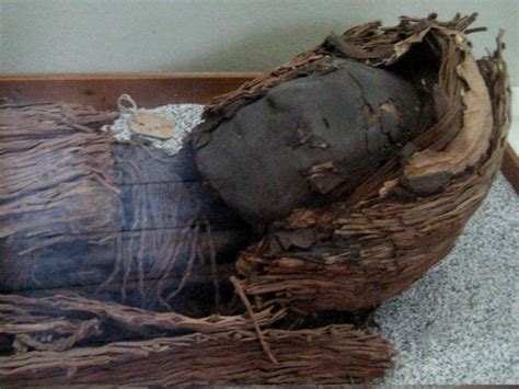 Mystery Of The Chinchorro Civilization And The Worlds Oldest Mummies