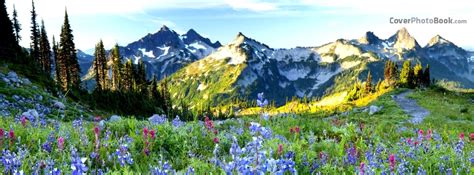 Check spelling or type a new query. Spring Flowers Mountain Meadow Facebook Cover - Nature