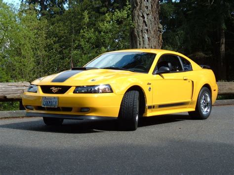 Screaming Yellow Mach 1 Ford Mustang Photo Gallery