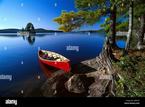 Canoe At Lake Opeongo Algonquin Provincial Park Ontario Canada Stock
