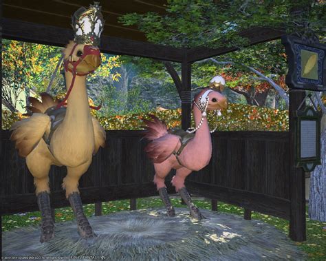 Pear locations guide for final fantasy 15 shows where to find all seven race collectibles that unlock exotic secret chocobo colors. Des Inu 日記「Chocobo colouring :)」 | FINAL FANTASY XIV, The ...