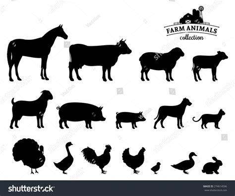 Vector Farm Animals Silhouettes Isolated On Vector De Stock Libre De