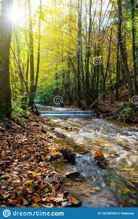 Beautiful Stream In Autumn Forest With Sun Shining Through Tree