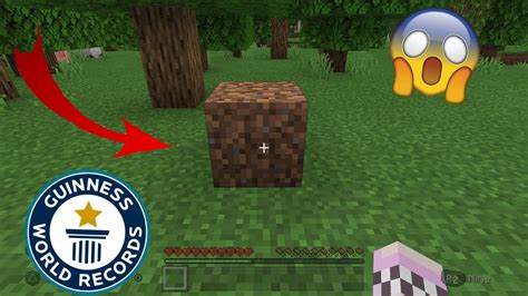 Minecraft Placing A Block World Record Youtube