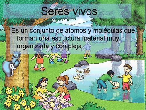 La Evolución De Los Seres Vivos