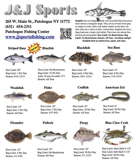 Check spelling or type a new query. Regulations '2015 - JJSPORTSFISHING.COM