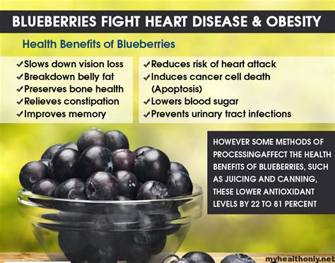 8 incredible health benefits of blueberries my health only